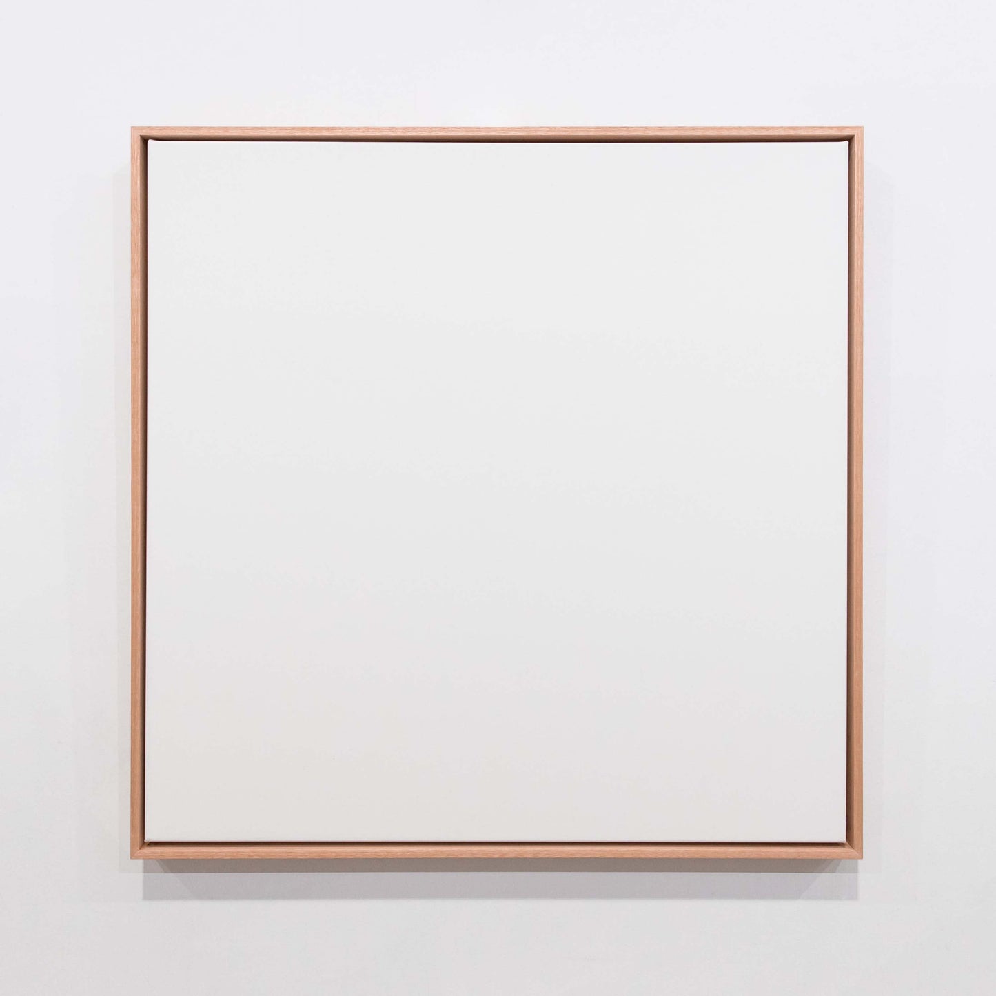 Standard Frame - Flooded Gum - White Canvas
